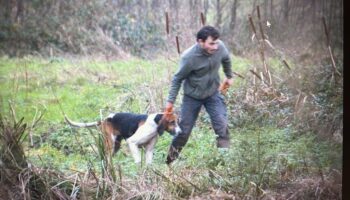 Des chiens de chasse à courre font irruption... chez Yann Arthus-Bertrand : le photographe a déposé plainte