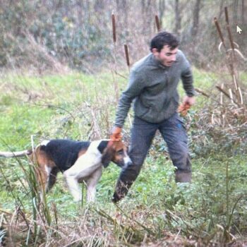 Des chiens de chasse à courre font irruption... chez Yann Arthus-Bertrand : le photographe a déposé plainte