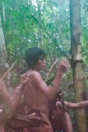 Des images inédites dévoilent un premier aperçu d’une communauté amazonienne isolée dans la forêt brésilienne