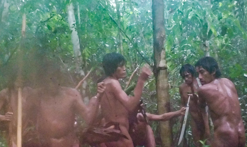 Des images inédites dévoilent un premier aperçu d’une communauté amazonienne isolée dans la forêt brésilienne