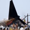 Did bird strike contribute to South Korea plane crash? What we know so far