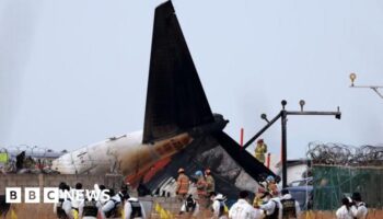 Did bird strike contribute to South Korea plane crash? What we know so far