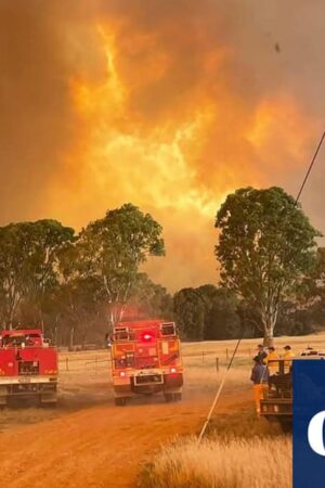 Eastern Australian states brace for extreme fire threat amid soaring temperatures and high winds