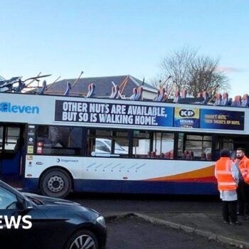 Eight hurt after double decker bus roof torn off