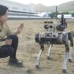 El juguete de moda del ejército chino estas Navidades: 'lobos robots' con fusiles de asalto