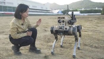 El juguete de moda del ejército chino estas Navidades: 'lobos robots' con fusiles de asalto