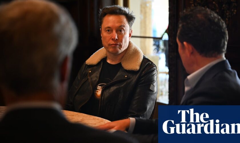 Elon Musk among billionaires set to donate to Reform UK, says treasurer