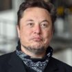 Elon Musk backs far-right AfD in German op-ed