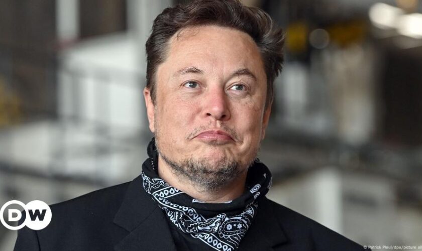 Elon Musk backs far-right AfD in German op-ed