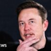 Elon Musk's curious fixation with Britain