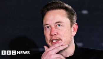 Elon Musk's curious fixation with Britain