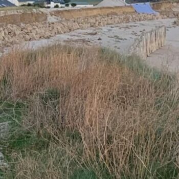 Erosion du littoral : sept habitations menacées sur les dunes de Léhan à Tréffiagat vont être déconstruites, une première en Bretagne