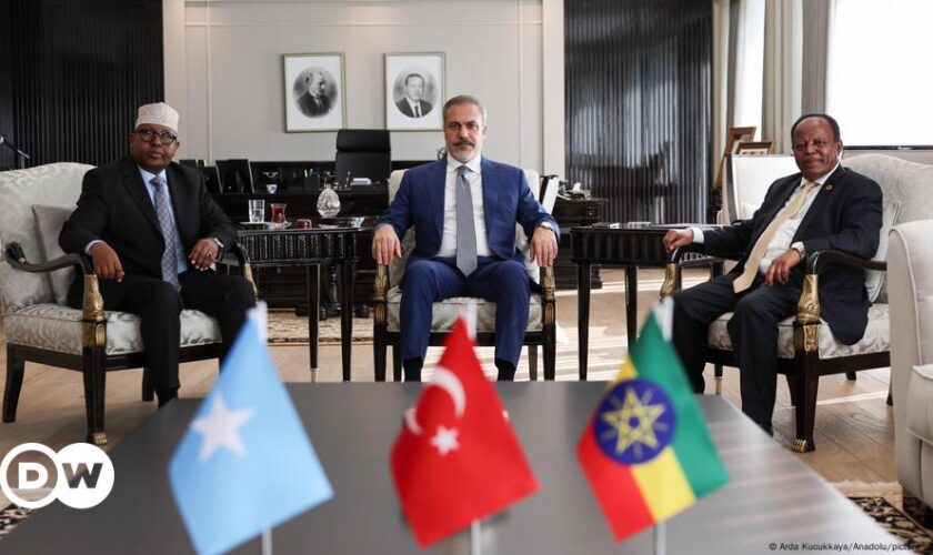 Ethiopia, Somalia reach compromise to end feud, Turkey says