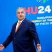 Flüchtig, rechts, korruptionsverdächtig? Orban gewährt Asyl