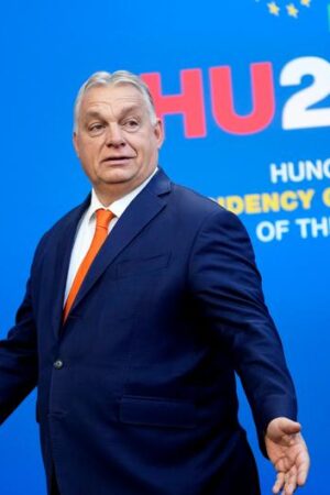 Flüchtig, rechts, korruptionsverdächtig? Orban gewährt Asyl