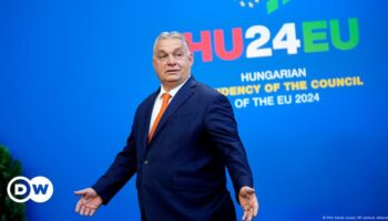 Flüchtig, rechts, korruptionsverdächtig? Orban gewährt Asyl