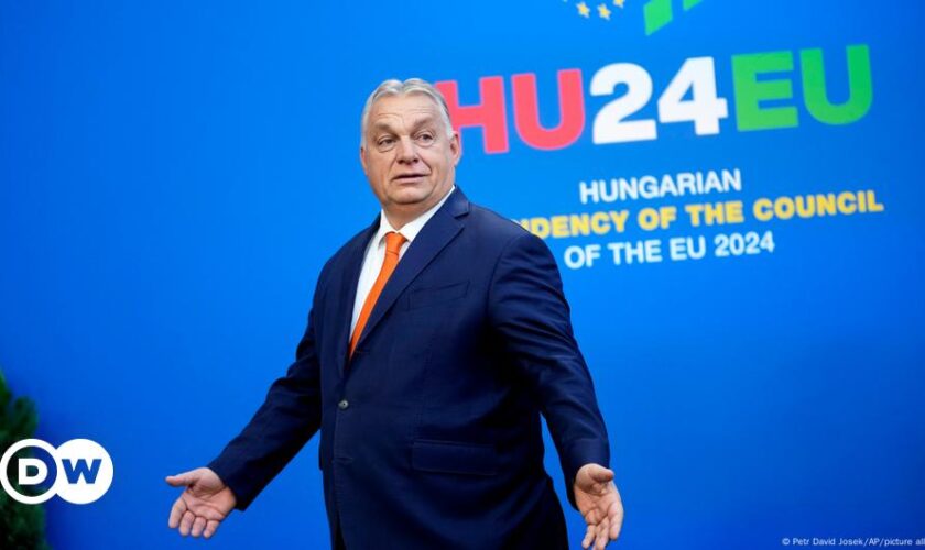 Flüchtig, rechts, korruptionsverdächtig? Orban gewährt Asyl