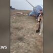 Footage shows survivors walking from crashed Azerbaijani plane