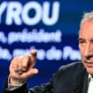 François Bayrou, le plus petit dénominateur commun de l’Assemblée