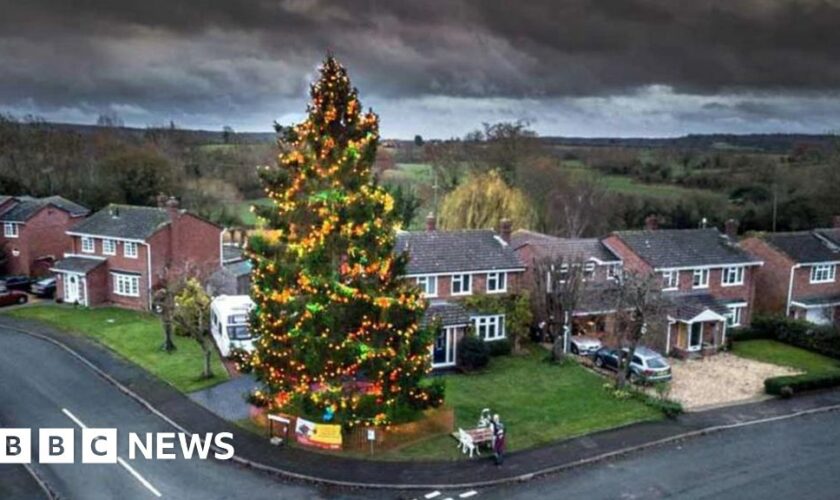 Front garden's 50ft Christmas tree set to light up