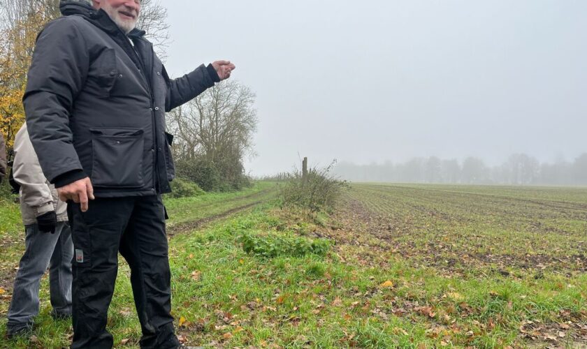 Future prison à Noiseau : des opposants au projet dénoncent « une catastrophe » pour de nombreux oiseaux