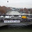 Georgia: Pro-EU protesters, president form human chain