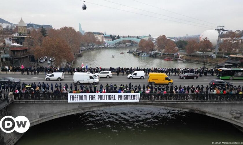 Georgia: Pro-EU protesters, president form human chain