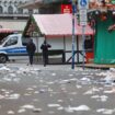 German police scrutinize Christmas market attack warnings