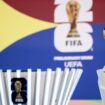 Germany's 2026 World Cup qualifiers depend on Italy game