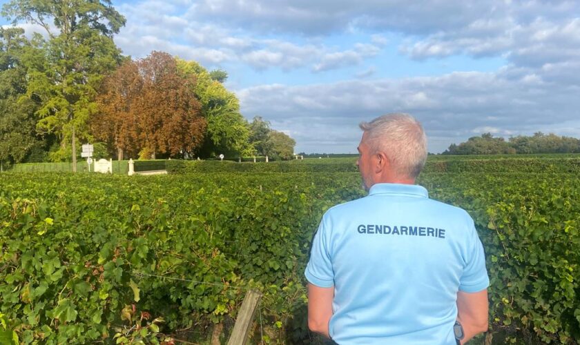 Gironde : la maison d’un jeune criblée de balles à son retour de soirée