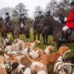 Government 'committed' to banning trail hunting