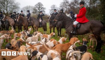 Government 'committed' to banning trail hunting