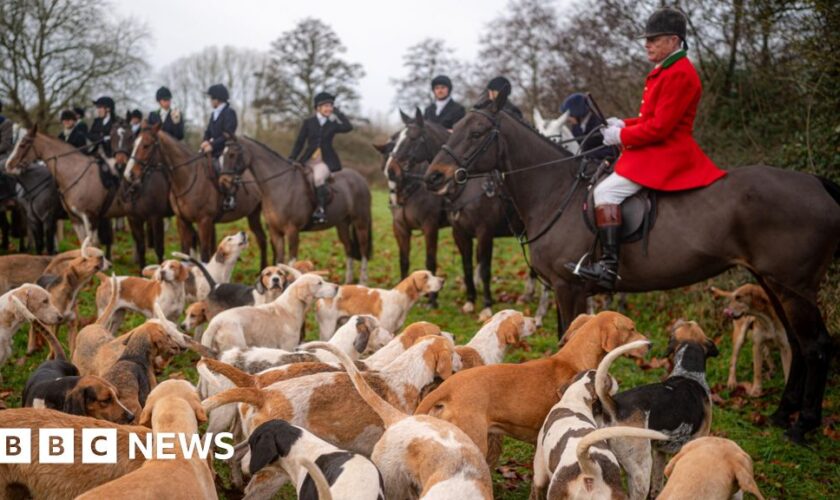 Government 'committed' to banning trail hunting