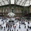 Grand Palais des glaces, Jardin des plantes… À Paris, les visiteurs à l’assaut des activités de Noël