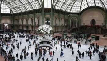 Grand Palais des glaces, Jardin des plantes… À Paris, les visiteurs à l’assaut des activités de Noël