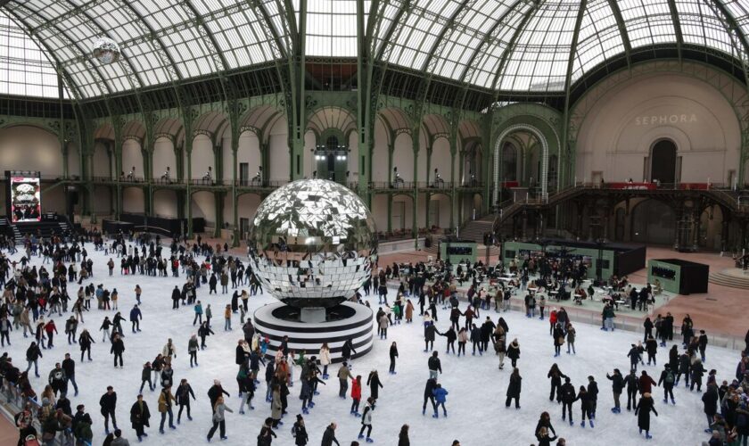 Grand Palais des glaces, Jardin des plantes… À Paris, les visiteurs à l’assaut des activités de Noël