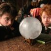 Harry Potter : Rupert Grint condamné à verser une amende fiscale de 2 millions d’euros