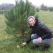 Haute-Garonne : ses champignons poussent sur des racines de pins, dans un verger entretenu par des brebis