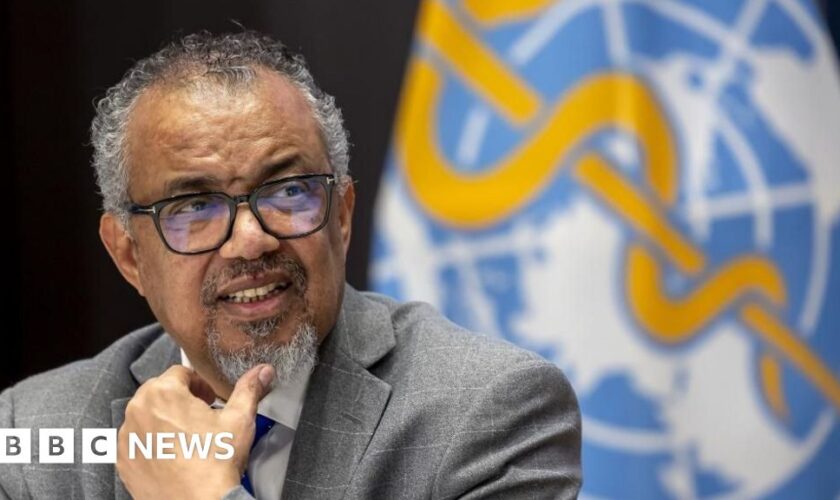 Head of WHO at Yemen airport during Israeli air strikes