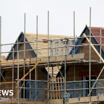 Housing plans not war on rural England, says minister