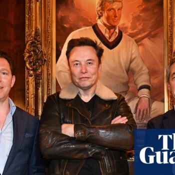 How far do Elon Musk and Reform UK share a political vision?