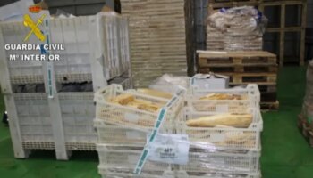 Intervenidas 270 toneladas de pescado congelado en mal estado que estaba siendo introducido en supermercados