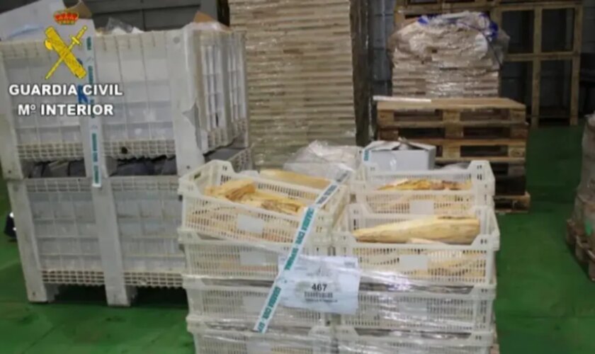 Intervenidas 270 toneladas de pescado congelado en mal estado que estaba siendo introducido en supermercados