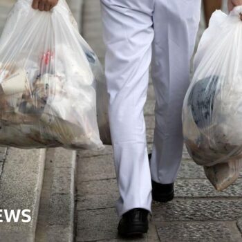 Japanese city to name and shame people who break rubbish rules