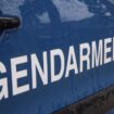 Jouarre : contrôlé positif au cannabis après avoir doublé une voiture de gendarmerie