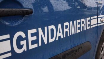 Jouarre : contrôlé positif au cannabis après avoir doublé une voiture de gendarmerie