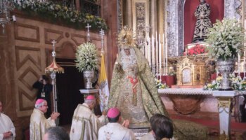 La imagen. El año de la rosa