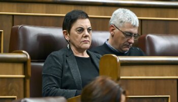 La ley de Seguridad auspiciada por Bildu alienta la guerra de reproches en el Congreso: "criminales", "represores", "golpistas", "filoetarras" y "gentuza"