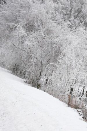 La météo de ce lundi 23 décembre : quatre départements en alerte orange neige-verglas