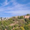 La torre de Andalucía a la que las solteras tienen que subir para encontrar novio está en Granada